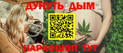 стафф Новокубанск