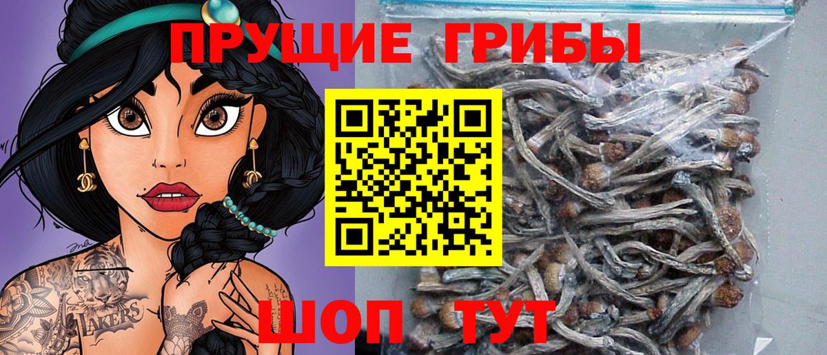 Галлюциногенные грибы Cubensis Сыктывкар