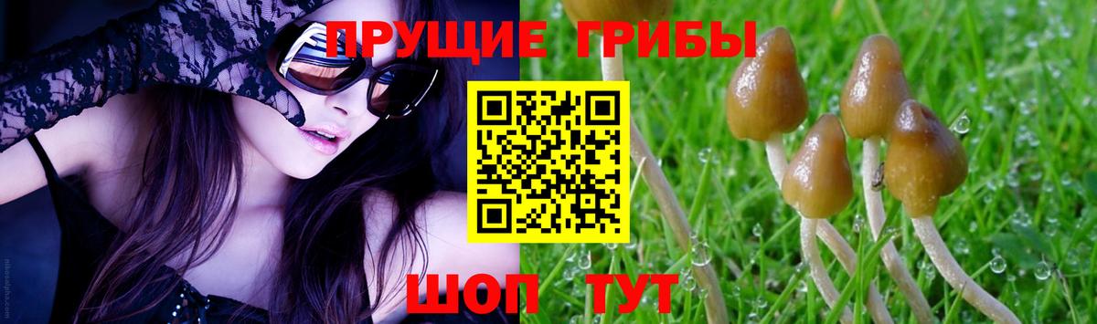 Галлюциногенные грибы мицелий  Вход с VPN  Сыктывкар 