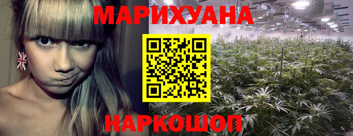 Конопля план  Шишки марихуана тримм  Марихуана планчик  Вход с VPN  Бошки марихуана VHQ  Сыктывкар 